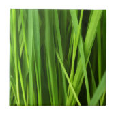 Grasstrahlen Fliese (Vorderseite)