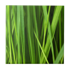 Grasstrahlen Fliese