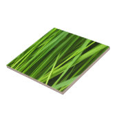 Grasstrahlen Fliese (Seite)