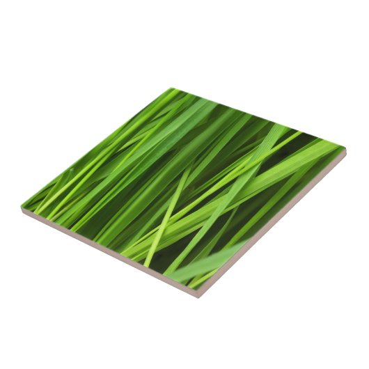 Grasstrahlen Fliese (Seite)