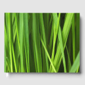 Grasstrahlen Gästebuch (Vorderseite)