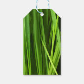 Grasstrahlen Geschenkanhänger (Vorderseite)