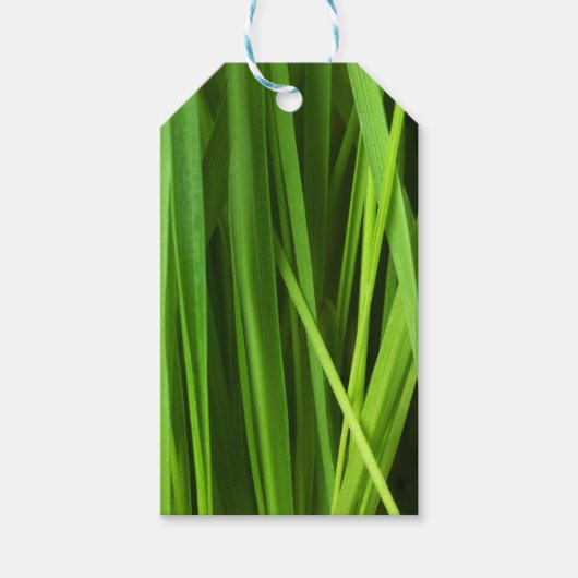 Grasstrahlen Geschenkanhänger (Vorderseite)