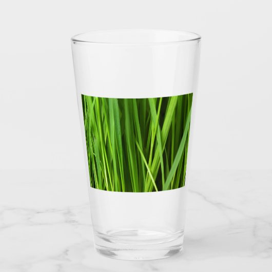 Grasstrahlen Glas (Vorderseite)