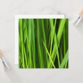 Grasstrahlen Karte (Vorderseite/Rückseite Beispiel)