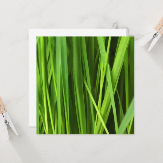 Grasstrahlen Karte (Vorderseite/Rückseite Beispiel)