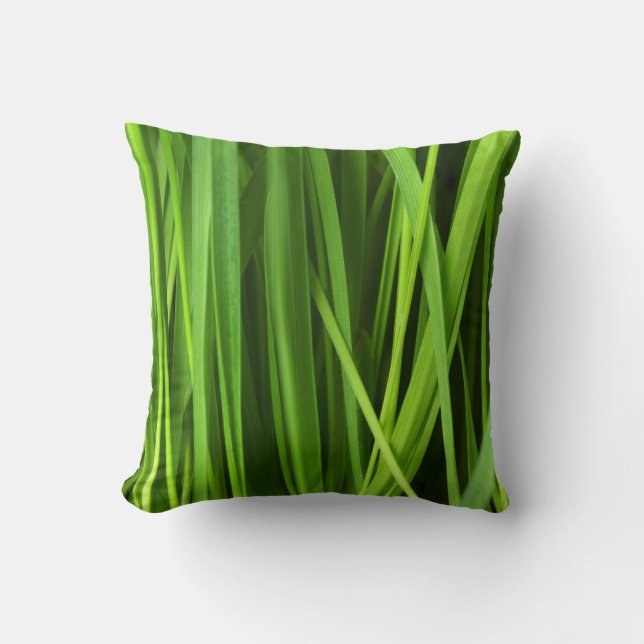 Grasstrahlen Kissen (Vorderseite)