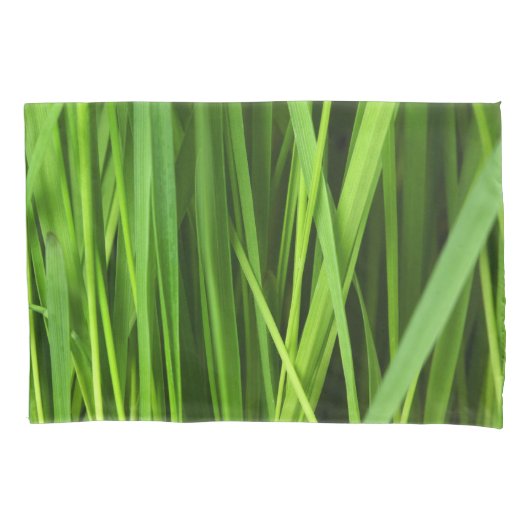 Grasstrahlen Kissenbezug (Vorderseite)