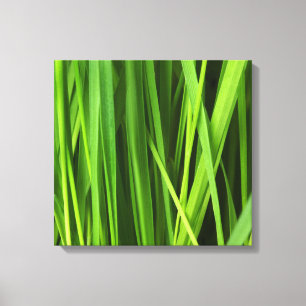 Grasstrahlen Leinwanddruck