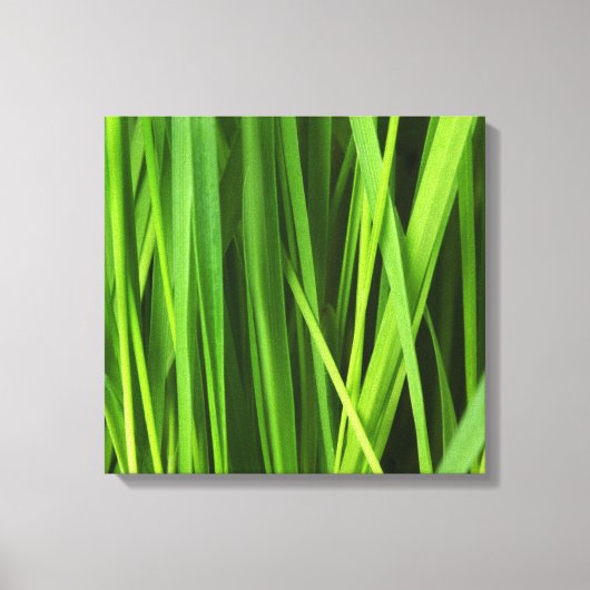 Grasstrahlen Leinwanddruck (Vorderseite)