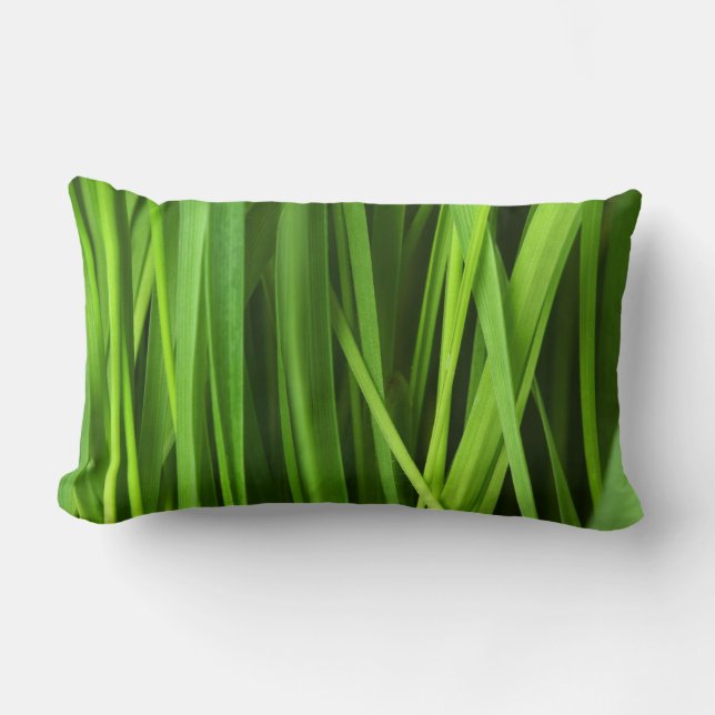 Grasstrahlen Lendenkissen (Vorderseite)