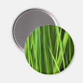 Grasstrahlen Magnet (Vorderseite/Rückseite)