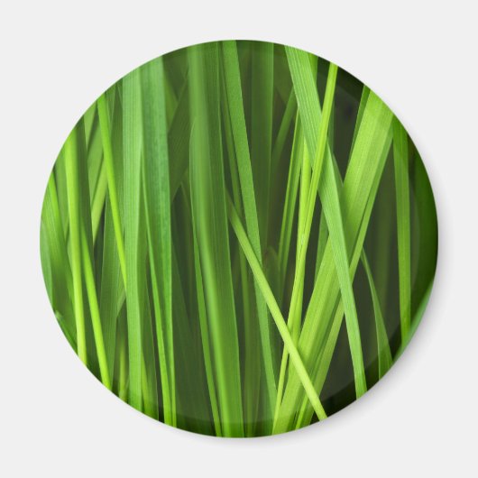 Grasstrahlen Magnet (Vorne)
