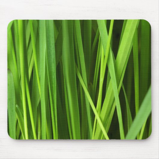 Grasstrahlen Mousepad (Vorne)