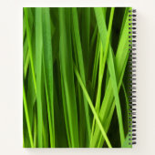 Grasstrahlen Notizblock (Rückseite)