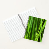 Grasstrahlen Notizblock (Innenseite)