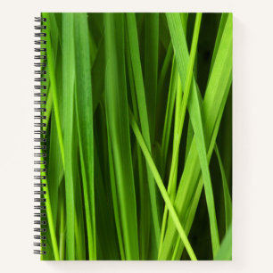 Grasstrahlen Notizblock