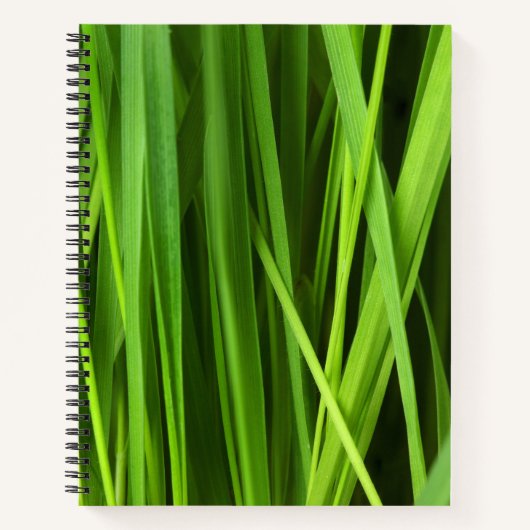 Grasstrahlen Notizblock (Vorderseite)