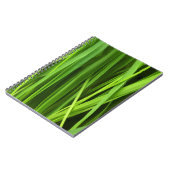 Grasstrahlen Notizblock (Linke Seite)
