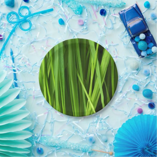 Grasstrahlen Pappteller (Party)