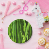 Grasstrahlen Pappteller (Party)