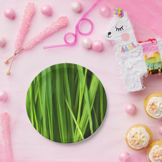 Grasstrahlen Pappteller (Party)