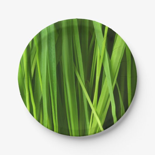Grasstrahlen Pappteller (Vorderseite)