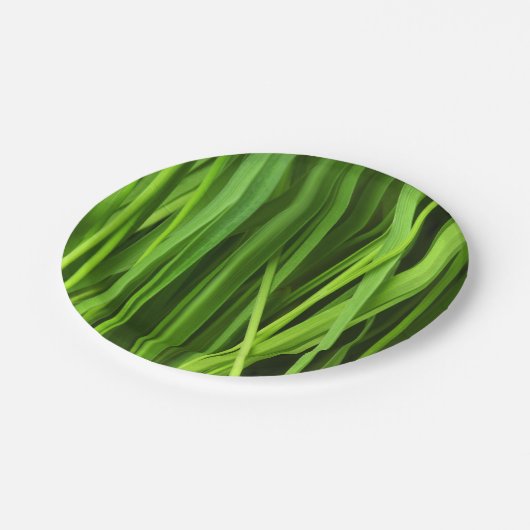 Grasstrahlen Pappteller (Schrägansicht)