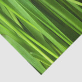 Grasstrahlen Seidenpapier (Ausschnitt)
