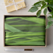 Grasstrahlen Seidenpapier (Geschenk)