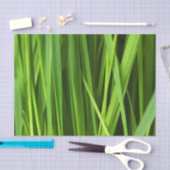 Grasstrahlen Seidenpapier (Handwerk)
