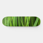 Grasstrahlen Skateboard (Horizontal)