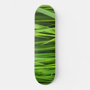 Grasstrahlen Skateboard