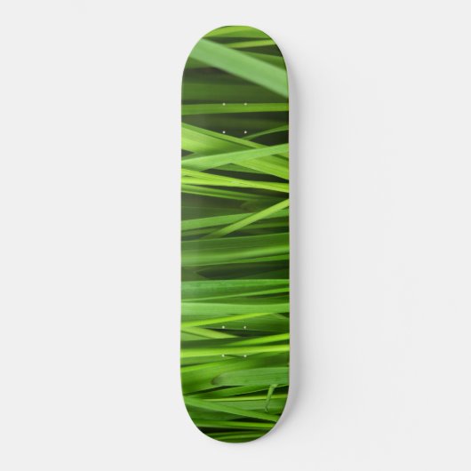 Grasstrahlen Skateboard (Vorderseite)
