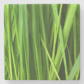 Grasstrahlen Steinuntersetzer (Vorderseite)