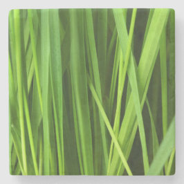 Grasstrahlen Steinuntersetzer