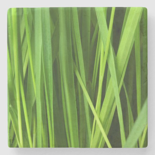 Grasstrahlen Steinuntersetzer (Vorderseite)