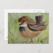 Grassuche Postkarte (Vorne/Hinten)