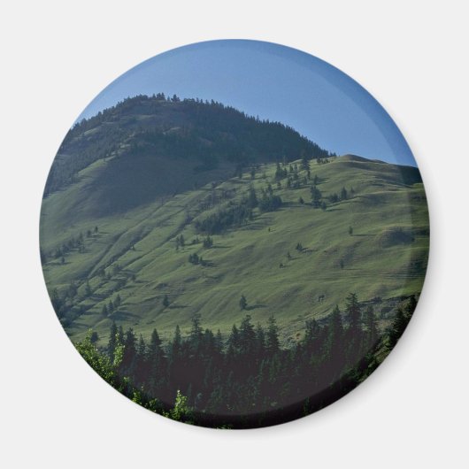 Grassy Covers Magnet (Vorne)