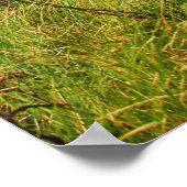 Grassy Edge Poster (Ecke)