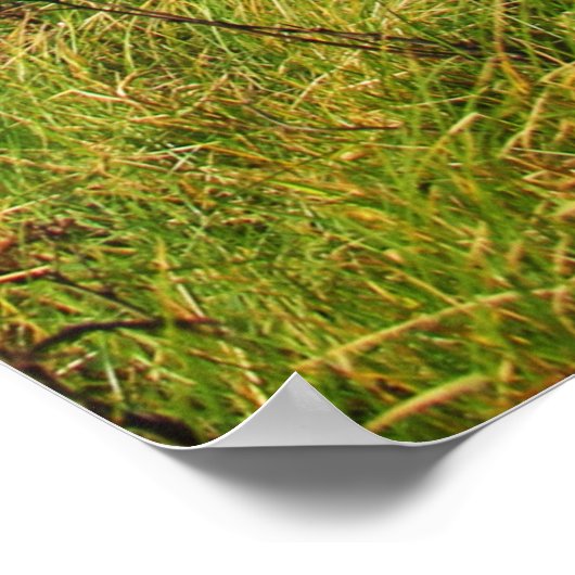 Grassy Edge Poster (Ecke)