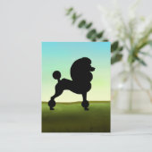 Grassy Field Standard Poodle Postkarte (Stehend Vorderseite)