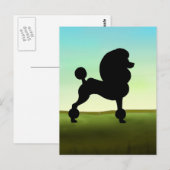 Grassy Field Standard Poodle Postkarte (Vorne/Hinten)
