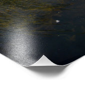 Grassy Lake Fotodruck (Ecke)