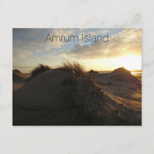 Grassy Sand Dunes at Sunset, Amrum Island, Deutsch Postkarte