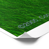 Grassy Sunset Poster (Ecke)