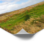 Grassy Waves Poster (Ecke)