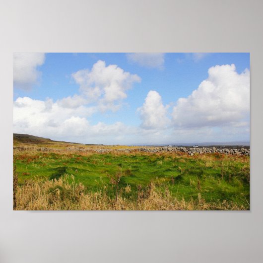 Grassy Waves Poster (Vorne)