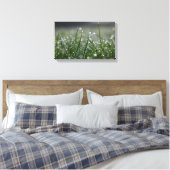 Grastaubentropfen Leinwanddruck (Insitu (Schlafzimmer))