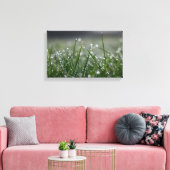 Grastaubentropfen Leinwanddruck (Insitu (Wohnzimmer))